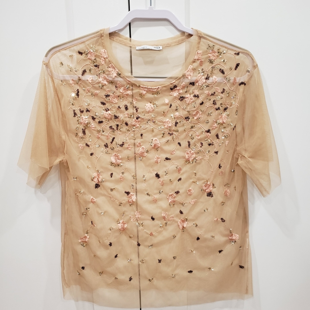 Zara sheer blouse